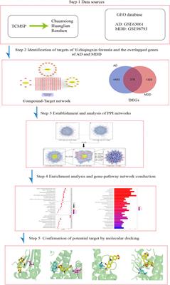 Integrated Network Pharmacology and Comprehensive Bioinformatics Identifying the Mechanisms and Molecular Targets of Yizhiqingxin Formula for Treatment of Comorbidity With Alzheimer’s Disease and Depression